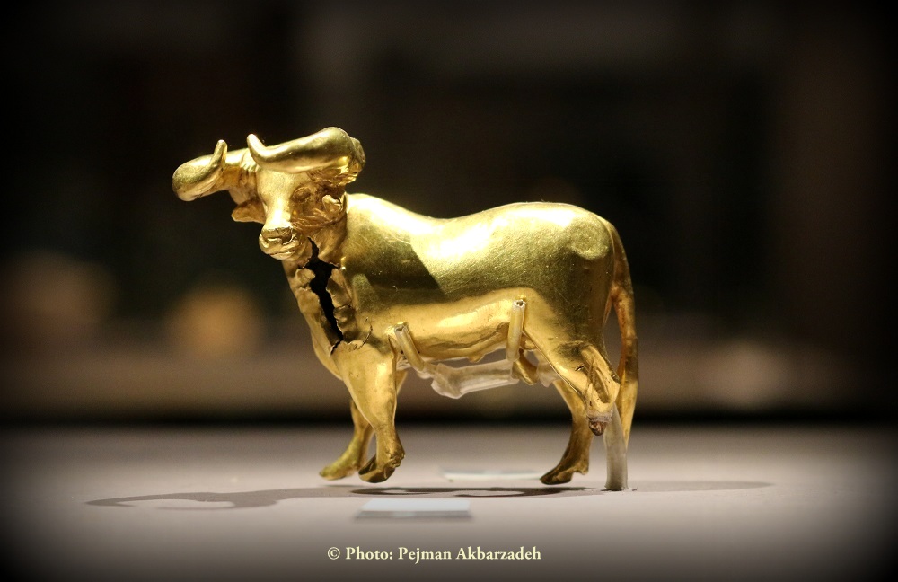 Massief gouden koe uit Hamedan in het westen van Perzië. Datering 559-331 v.Chr. (Foto: Pejman Akbarzadeh)