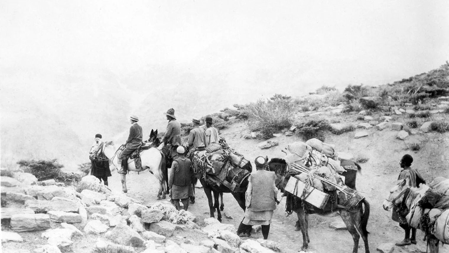 Screening in Utrecht: GRASS (1925) - نمایش فیلم تاریخی «علف» در اوترخت